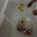 12848_Sous Vide with Jonathan Brown 01